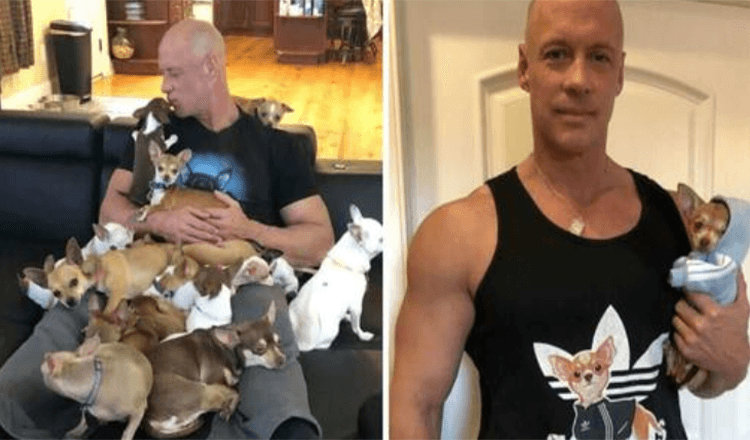 Heartbroken Man Was Saved By A Chihuahua – And Now He Has Saved Over 30 Tiny Dogs