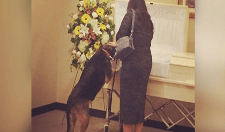Funeral Home Lets Dog Visit So She Can Say One Last Goodbye