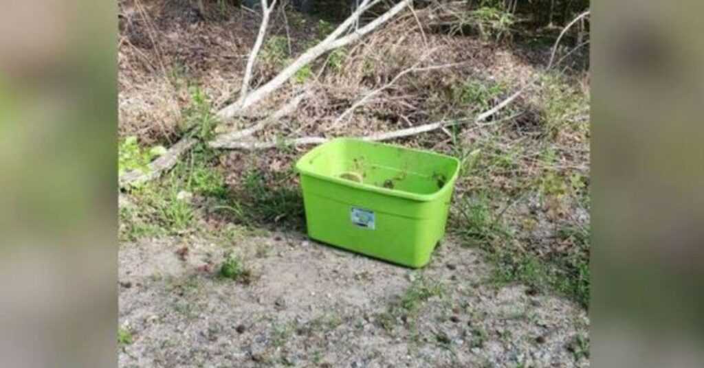 People Find The Saddest Thing In This Box On A 90-Degree Day