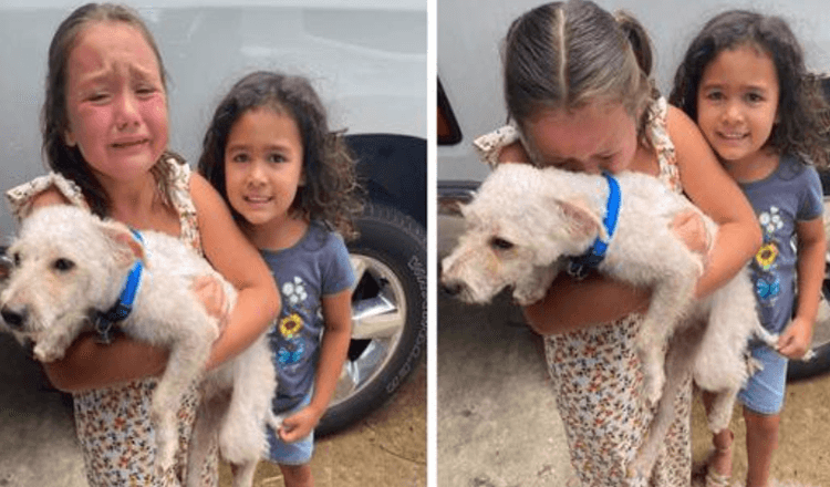 Little Girl Can’t Stop Crying Tears Of Joy When Her Lost Dog Is Finally Found