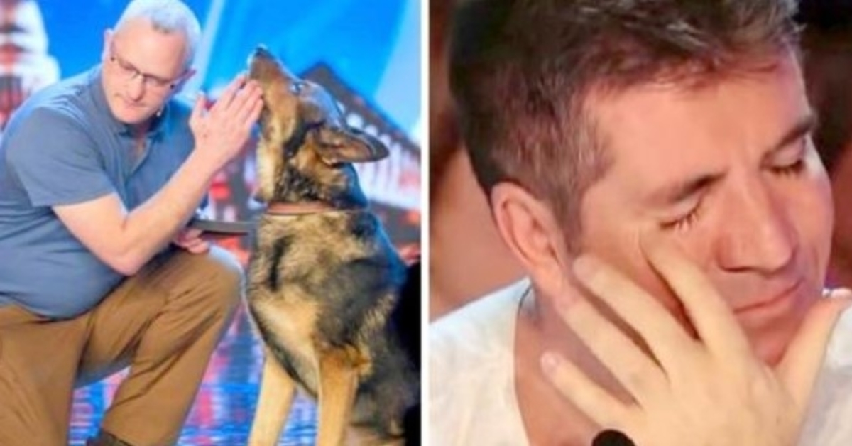 Police Dog Stabbed In Line Of Duty, Has Simon Cowell Fighting Back Tears On BGT