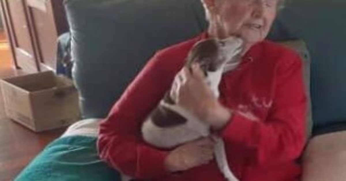 85-Year-Old Woman’s Dog Passes Away, But No One Will Let Her Adopt A New Dog
