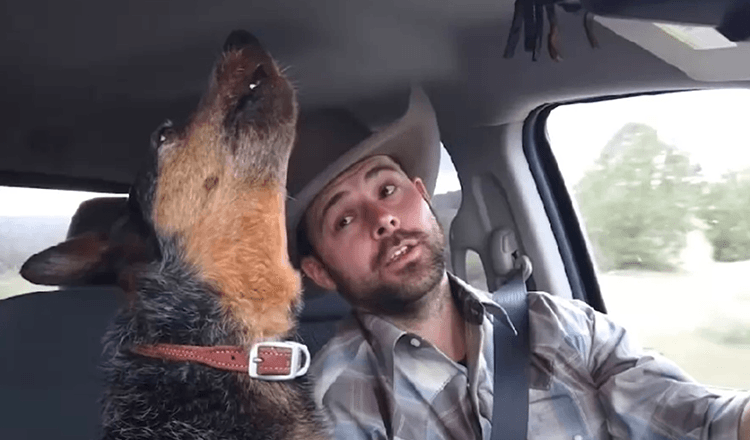 Dog Sings Sweet Duet With Cowboy After Her Favorite Song Comes On