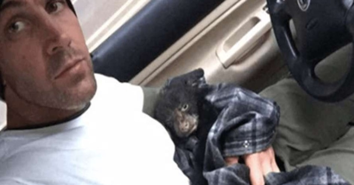 Man Rescues Dying Animal From Wild And Faces Charges Moments After He Arrives At Wildlife Shelter