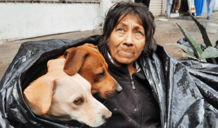 Homeless Woman Refuses To Leave Her Six Dogs For A Warm Bed At A Shelter