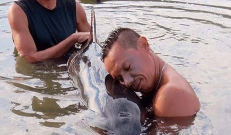 Surfers Save Stranded Baby Whale After Hearing Her Cries For Help