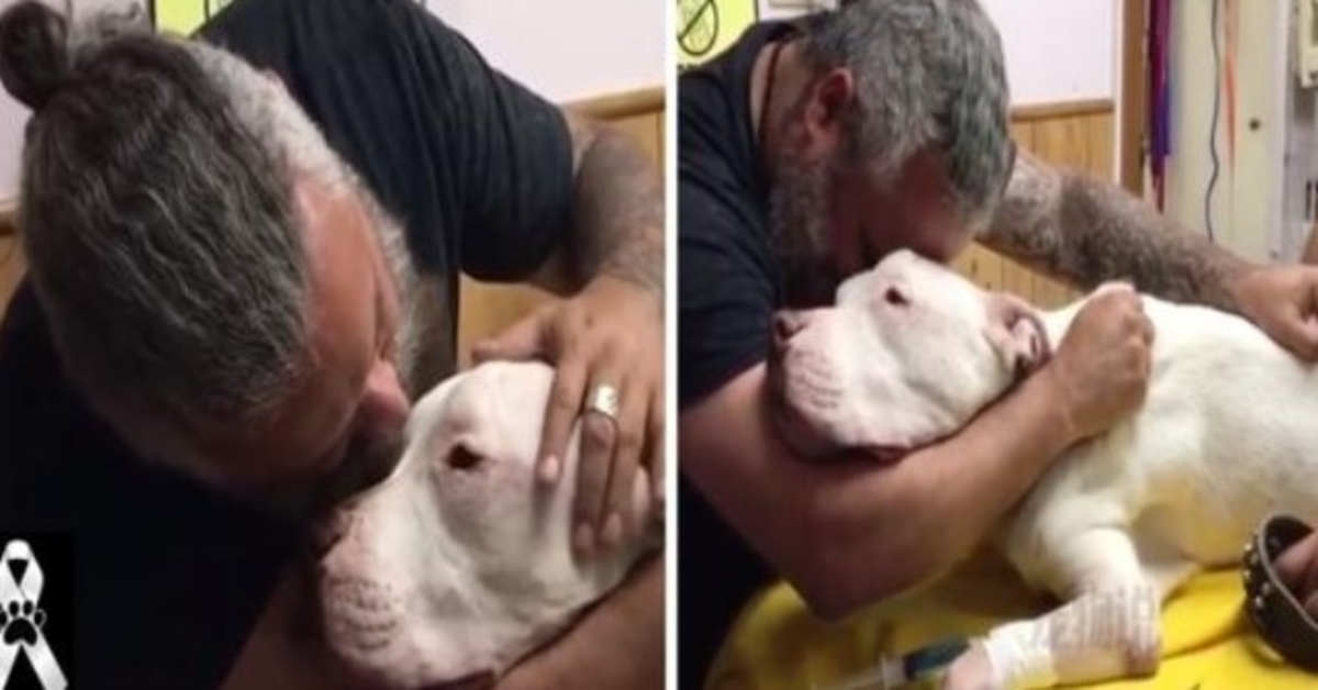 Man hugs his 14-year-old dog through tears and dies seconds later: “Don’t abandon me”
