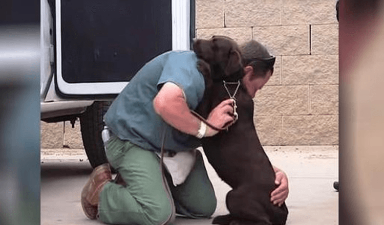 Dog Was Taken To Be Euthanized, But One Inmate Gave Her A Tight Hug